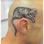 Tatouage chat sur crâne