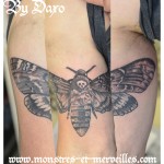 Tatouage papillon sphinx