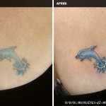 Rafraîchissement de tatouage - Dauphin