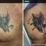 Tatouage de recouvrement - Pégase