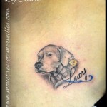 Tatouage de Dogue argentin